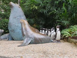 Gemasnya Penguin Berkeliaran Bebas di Singapore Zoo