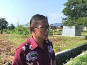 PDP Perempuan 65 Tahun di Pasuruan Meninggal, Idap Sakit Kencing Manis PDP Perempuan 65 Tahun di Pasuruan Meninggal, Idap Sakit Kencing Manis