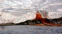 Air Terjun Darah di Antartika Ternyata Penuh dengan Kehidupan