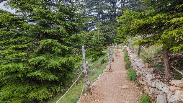 'Kebun Surga' di Libanon Juga Terapkan Lockdown Corona