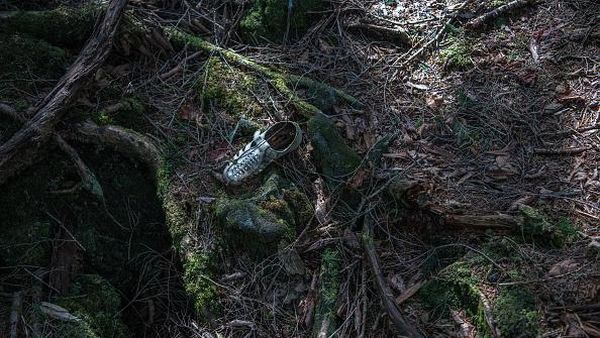 Foto: Hutan Tempat Langganan Bunuh Diri di Jepang