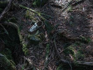 Foto: Hutan Tempat Langganan Bunuh Diri di Jepang Foto: Hutan Tempat Langganan Bunuh Diri di Jepang