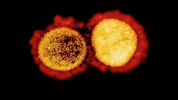 Ilustrasi virus corona bermutasi Ilustrasi virus corona bermutasi