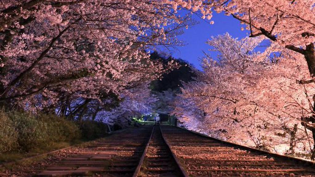 Potret Destinasi Teromantis Kyoto dengan Kisah Kelam