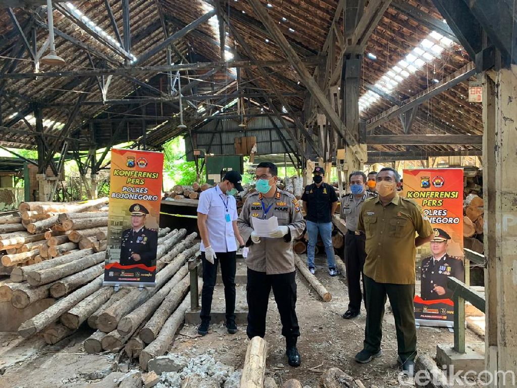 4 Pembalak Liar Diamankan, 1.348 Batang Kayu Jati Disita 4 Pembalak Liar Diamankan, 1.348 Batang Kayu Jati Disita