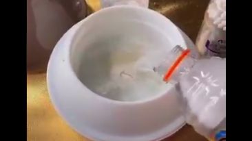 Viral Selebgram Bikin Diffuser Antiseptik untuk Cegah Corona, Ini Bahayanya