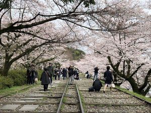 Foto: 5 Negara dengan Sistem Kesehatan Terbaik Sedunia Foto: 5 Negara dengan Sistem Kesehatan Terbaik Sedunia