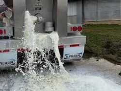 Dampak Virus Corona, Petani Buang Jutaan Galon Susu yang Tak Laku