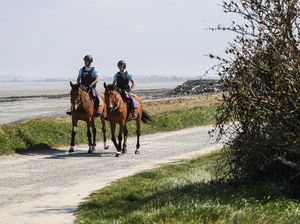 Polisi Prancis Berpatroli Naik Kuda saat Lockdown