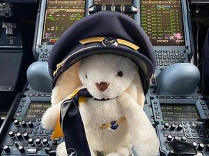 Gemasnya Boneka Kelinci Ikut dalam Misi Penyelamatan Turis Jerman