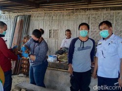 Saat Corona Mewabah, 6.000 Lebih Unggas di Sidrap Mati Akibat Flu Burung
