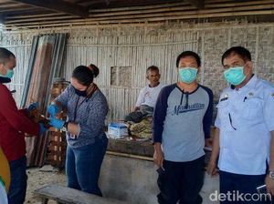 Saat Corona Mewabah, 6.000 Lebih Unggas di Sidrap Mati Akibat Flu Burung Saat Corona Mewabah, 6.000 Lebih Unggas di Sidrap Mati Akibat Flu Burung