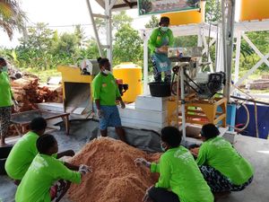 BKP Kembangkan Sagu sebagai Penyelamat Pangan Masa Depan