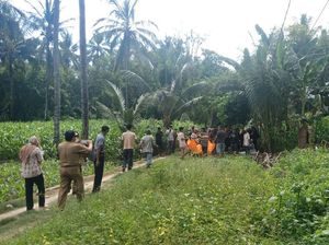 Mayat Nenek ODP Corona di Sulsel Ditemukan Membusuk di Samping Rumah Mayat Nenek ODP Corona di Sulsel Ditemukan Membusuk di Samping Rumah