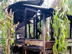 Pasutri di Palopo Kehilangan Tempat Tinggal karena Gubuknya Terbakar