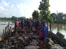Tanggul Jebol Penyebab Banjir di Lamongan Diperbaiki, 2 Backhoe Dikerahkan