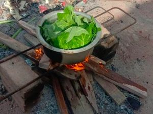 Tak Ada Uang, Buruh Pabrik Makan Daun Pepaya Rebus Berhari-hari