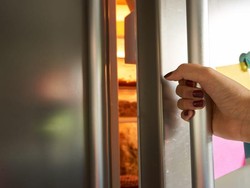 Perihal Garansi Kompressor Kulkas LG