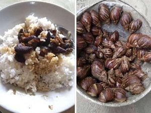 Paket Sembako Rp 15.000 yang Bikin Kesal hingga Netizen Makan Bekicot Paket Sembako Rp 15.000 yang Bikin Kesal hingga Netizen Makan Bekicot