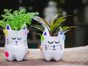 Usir Bosan di Rumah, Ubah Botol Plastik Bekas Jadi Kreasi Bermanfaat Usir Bosan di Rumah, Ubah Botol Plastik Bekas Jadi Kreasi Bermanfaat