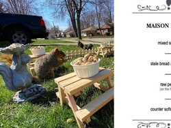 Keren! Pria Ini Buat Restoran Kecil Untuk Hewan Liar Selama Lockdown