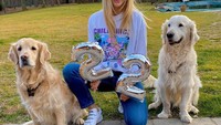 Postingan Anna Modler di Instagram ini menunjukkan, dua anjing tersebut adalah peliharannya Alexis Sanchez (Instagram/annamodler)