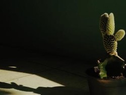 Traveling Seru di Rumah Saja