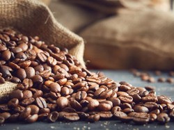 Saat Pandemi COVID-19, Permintaan Kopi di Eropa dan Amerika Melonjak