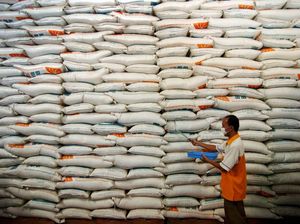 Stok Beras Terancam Kekurangan, Pemerintah Harus Apa?