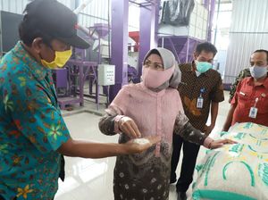 Pemkab Serang Siapkan Beras Lokal buat Bantu Warga Terdampak COVID-19