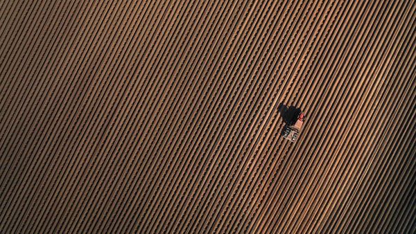 Petani Dunia Merajut Asa Bertahan di Tengah Wabah Corona