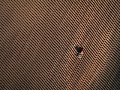 Petani Dunia Merajut Asa Bertahan di Tengah Wabah Corona