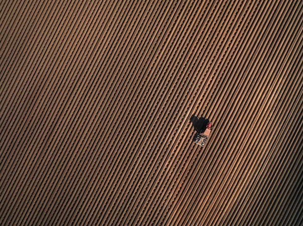 Petani Dunia Merajut Asa Bertahan di Tengah Wabah Corona