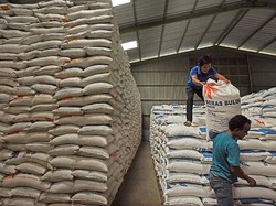 1,4 Juta Ton Beras Ditargetkan Bisa Terserap di Tengah Pandemi