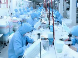 Catat! Ada 8.000 Loker di Pabrik Asal China yang Pindah ke Subang
