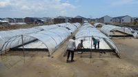 Permintaan Garam Meningkat di Ramadhan, Petani Genjot Produksi