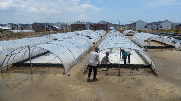 Permintaan Garam Meningkat di Ramadhan, Petani Genjot Produksi
