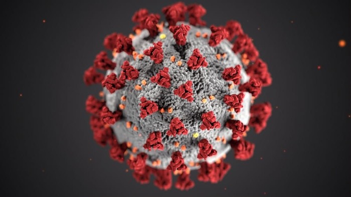 Warna Virus Corona Warna Virus Corona