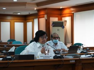 Bantu Petani Hutan Terdampak Corona, KLHK Alokasikan Rp 1,01 Triliun