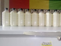 UIN-KKI Klaim Kefir Kolostrum Bantu Pemulihan Pasien COVID-19