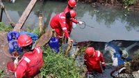 Pipa Pertamina Bocor, Cemari Sungai Cinambo