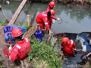 Pipa Pertamina Bocor, Cemari Sungai Cinambo Pipa Pertamina Bocor, Cemari Sungai Cinambo