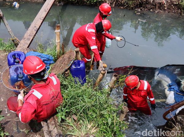 Pipa Pertamina Bocor, Cemari Sungai Cinambo