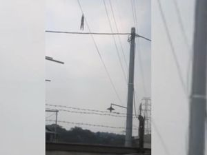 Video Bocah Bergelantung di Kabel SUTET Setinggi 30 Meter