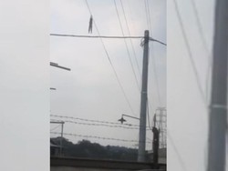 Video Bocah Bergelantung di Kabel SUTET Setinggi 30 Meter