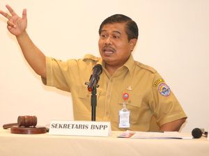 BNPP Ungkap Kendala dalam Tangani Pandemi Corona di Perbatasan RI