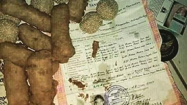 Waduh! Ijazah, CV dan Dokumen Negara Pernah Jadi Bungkus Gorengan