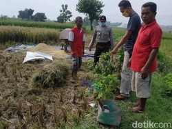 Tragis! Petani di Blora Ini Tewas Usai Minum Potas yang Dikira Air