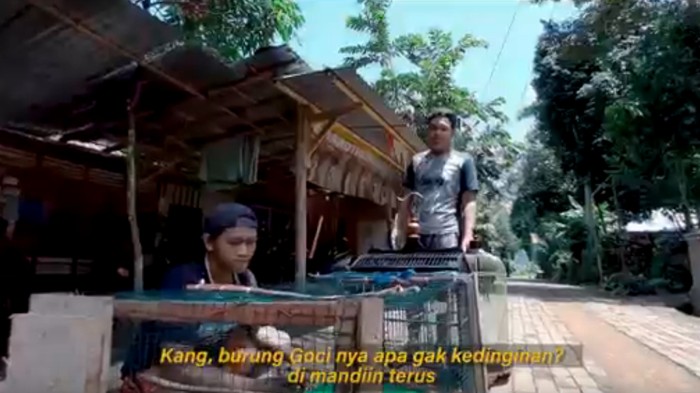 aja pulang kampung ndisit