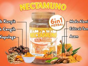 Nectamuno Madu 6 in 1 untuk Imunitas Tubuh